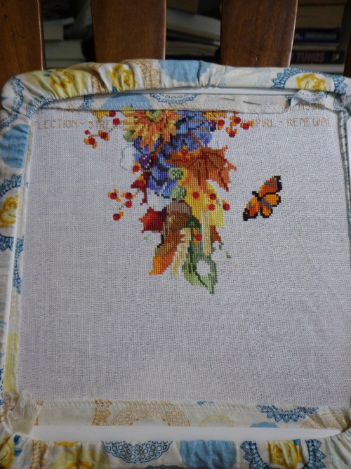 Autumn Cross 11-24-17