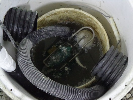 Bsmnt - Day 3 - Sump Pump