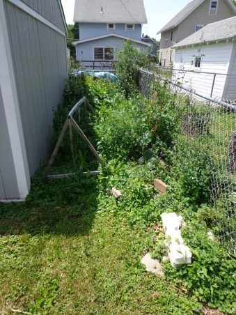 Beside the Shed 6-8-18