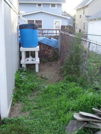 Beside the Shed 7-9-18