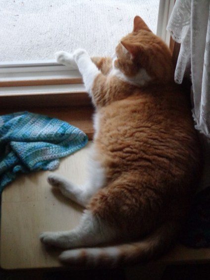 Chester Just Chillin