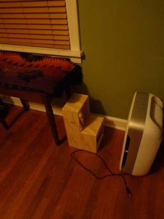 Chester's Bench Steps