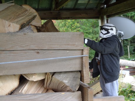 Gary Checking Out the Wood