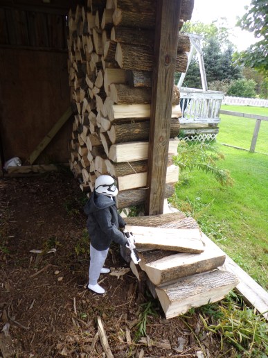 Gary Helps with Wood