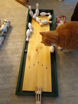 Bowling with Chester