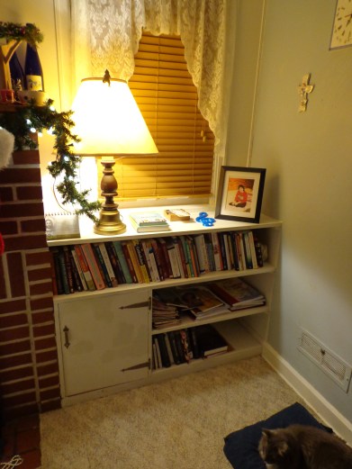 Organized Livingroom Shelf