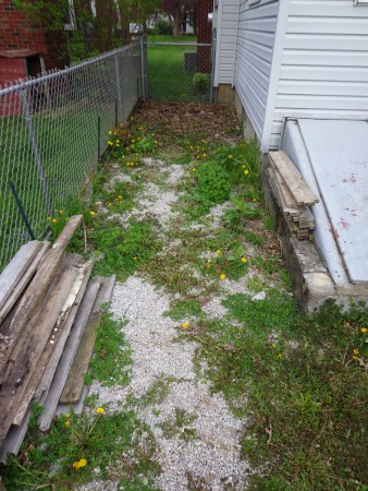 Beside the house 5-9-19