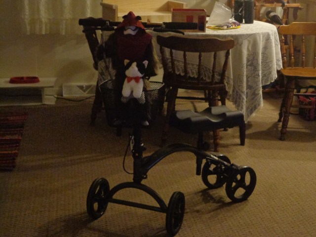 Penny Riding in the Basket 6-6-19