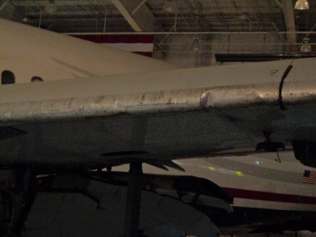 CAM UAW Bird Strikes to Wing 7-2-19