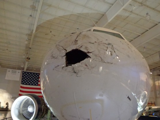 CAM UAW Nose Not Bird Damage 7-2-19
