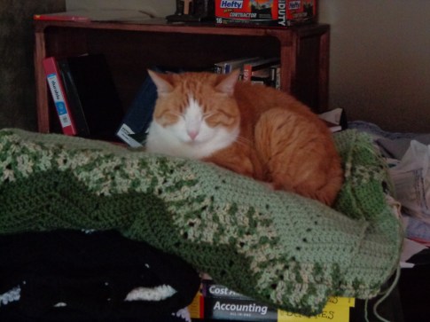 Chester on Blanket 7-6-19