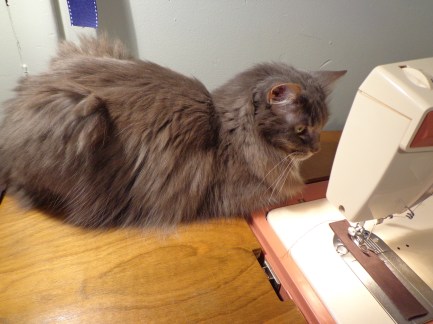 Bob Supervising 10-12-19