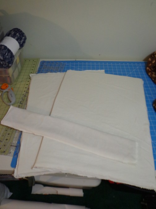 Monitor Bag - Cushioned Sides