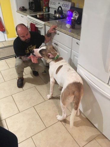 Rando 12-5-19 7mos old