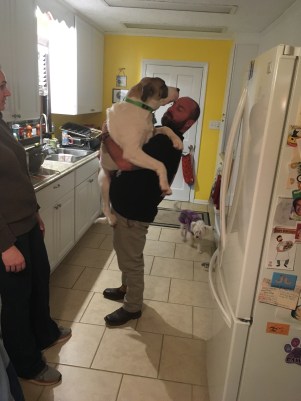 Rando - 7 months old