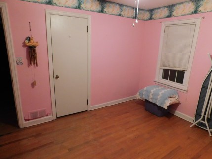 Pink Room 2 3-13-20