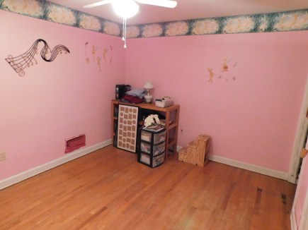 Pink Room 3 3-13-20
