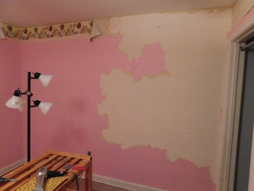 Pink Room Wall 3-15-20