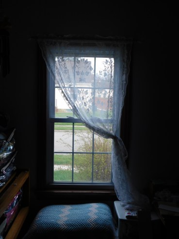 Sewing Room Window 4-18-20