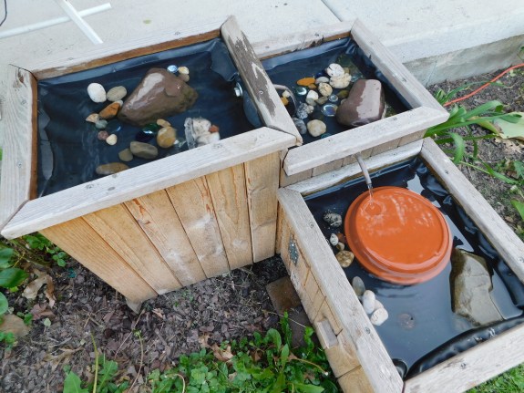 Cedar Bird Bath 5-26-20