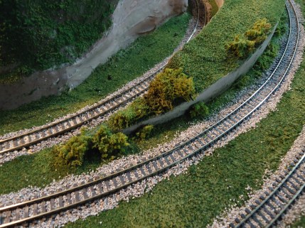 Dead Man's Curve Bushes 4