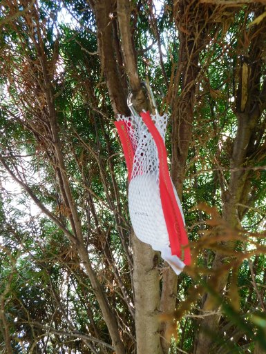 Thermometer Bag in Place 5-31-20