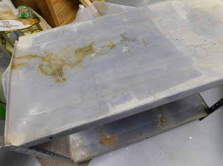 Misshapened Utility Shelf