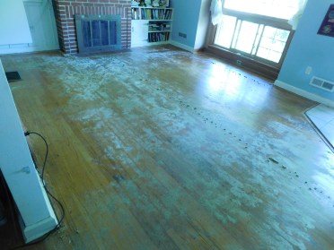 Carpet Removed 1