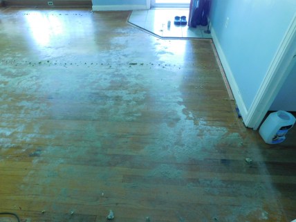 Carpet Removed 2