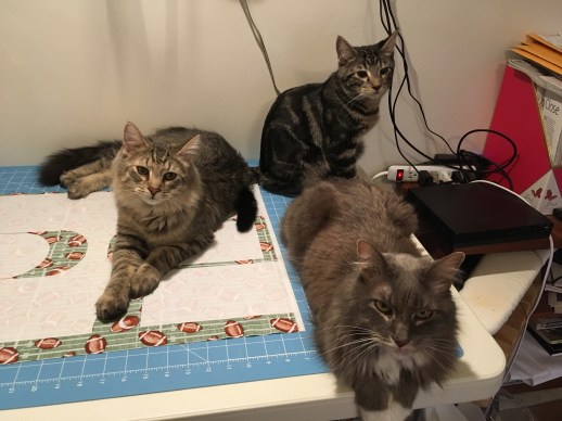 Bob-Mikhail-Toby Helping 11 2022