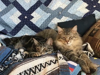 MikMik and Toby 02 2023