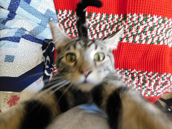 MikMik- Hold me Mama